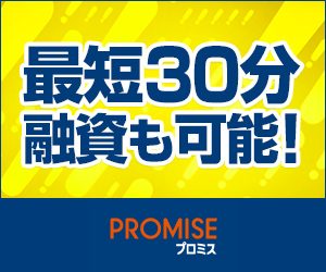 プロミスレディースバナー